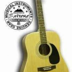Gitar Akustik Extreme XA40WN
