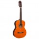 Gitar Elektro Klasik Rodriguez RC465EQ