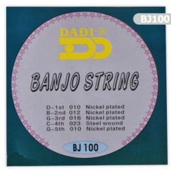 Banjo Takım Tel BJ100