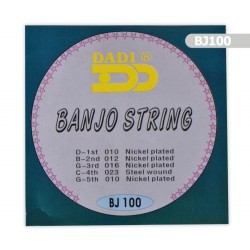 Banjo Takım Tel BJ100